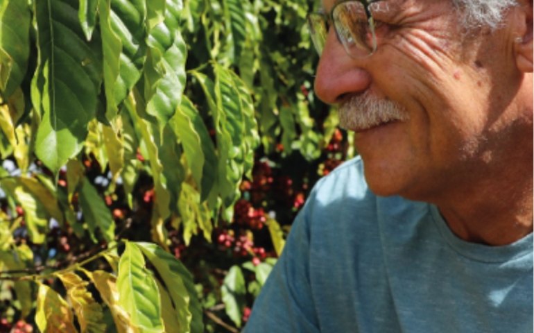 Dia de Campo vai discutir soluções para desafios da cafeicultura no DF; inscrições até terça (5)