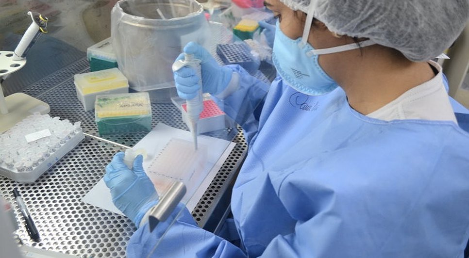 Variantes Gamma, Zeta e Ômicron da Covid-19 estão circulando com frequência em Sergipe, diz Lacen / Foto: Foto: SES/SE