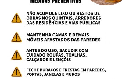 Palmeira: Educação da população é determinante para evitar proliferação dos animais peçonhentos