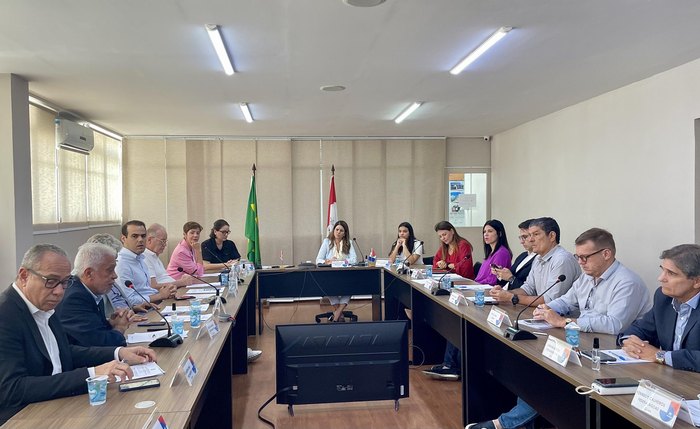 1ª Reunião Ordinária do Conselho Estadual do Desenvolvimento Econômico e Social (Conedes) em 2023