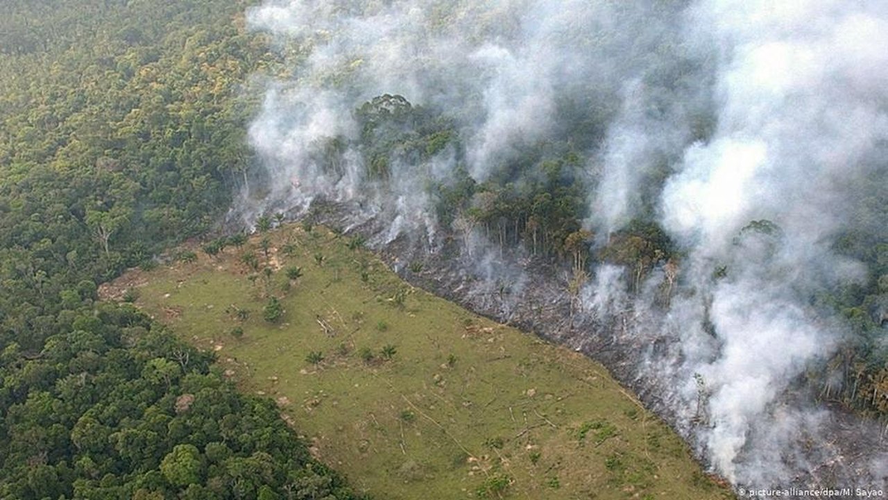 Desmatamento na Amazônia cresce 85% em 2019