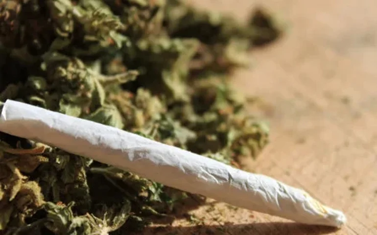 Estado de Maryland, nos EUA, anulará 175 mil condenações por uso de maconha