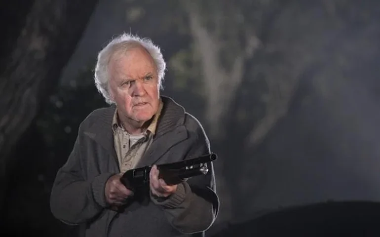 'Acabei de matar o homem do pecado', disse enteado após esfaquear James Handy, ator de 'Jumanji', nos EUA; veja o que se sabe