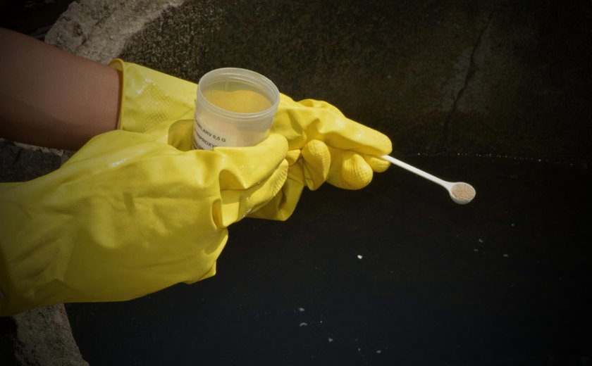 Sesau promove neste sábado ação para o Dia D Nacional de Combate à Dengue