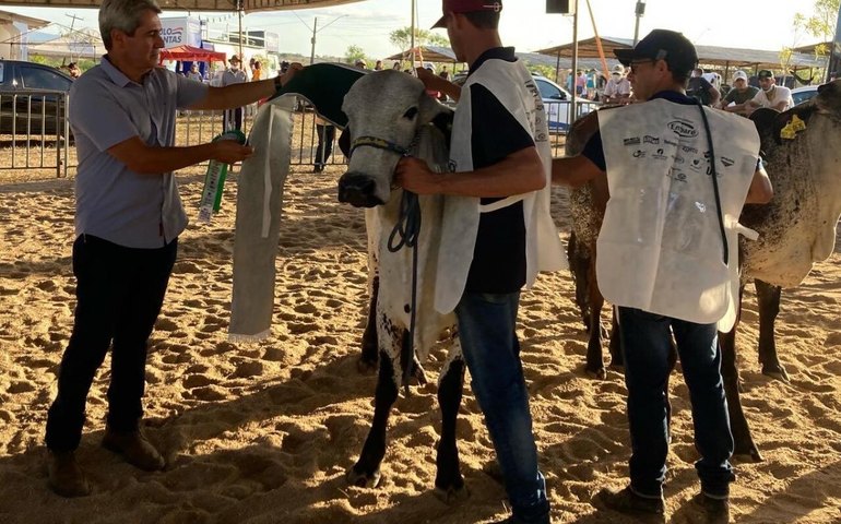39ª Expo Bacia Leiteira conta com novidades na programação técnica
