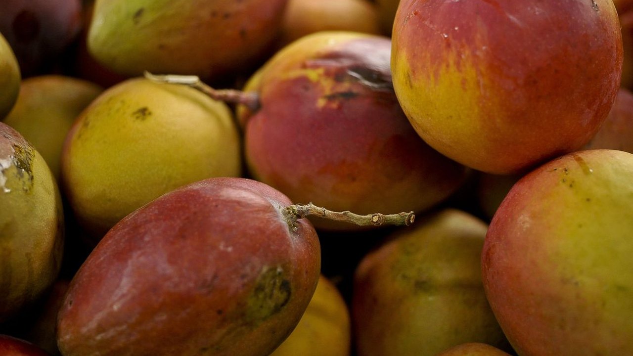 Abrafrutas apoia plano e pede atenção a pequenos produtores
