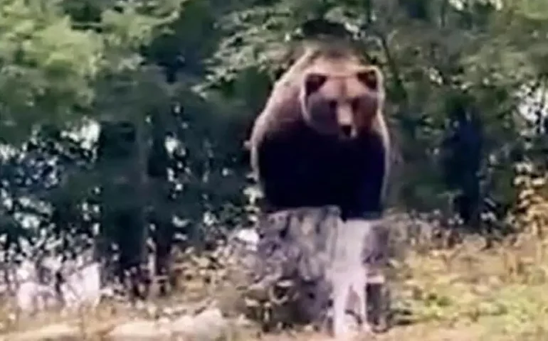 Governador italiano é absolvido por morte de urso