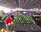 Cerca de 192 mil toneladas de alimentos foram comercializadas na Ceasa/AL em 2023 - Foto: Divulgação