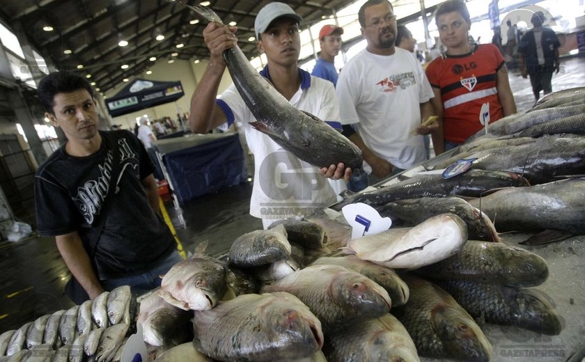 Vigilância Sanitária alerta para compra de pescados durante a Semana Santa, em Palmeira