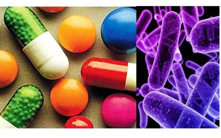 Anvisa cria comissão para monitorar resistência microbiana