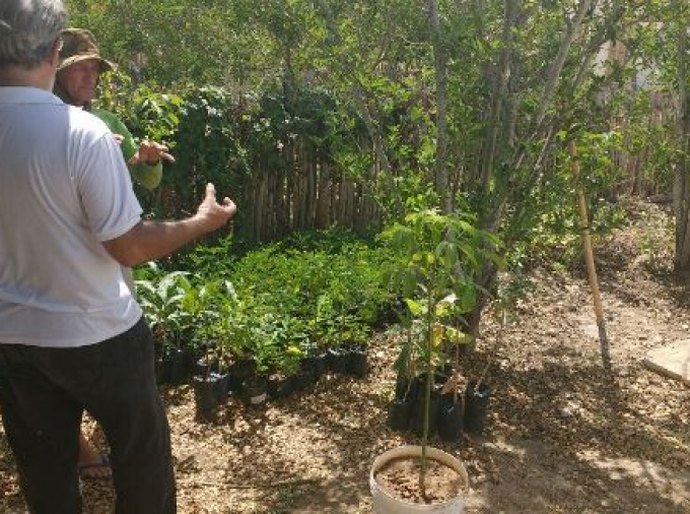 Ilha do Ferro: IMA fomenta projeto para a sustentabilidade dos artesãos locais