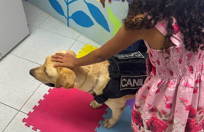 Cão de apoio emocional ajuda crianças vítimas de violência na Justiça alagoana