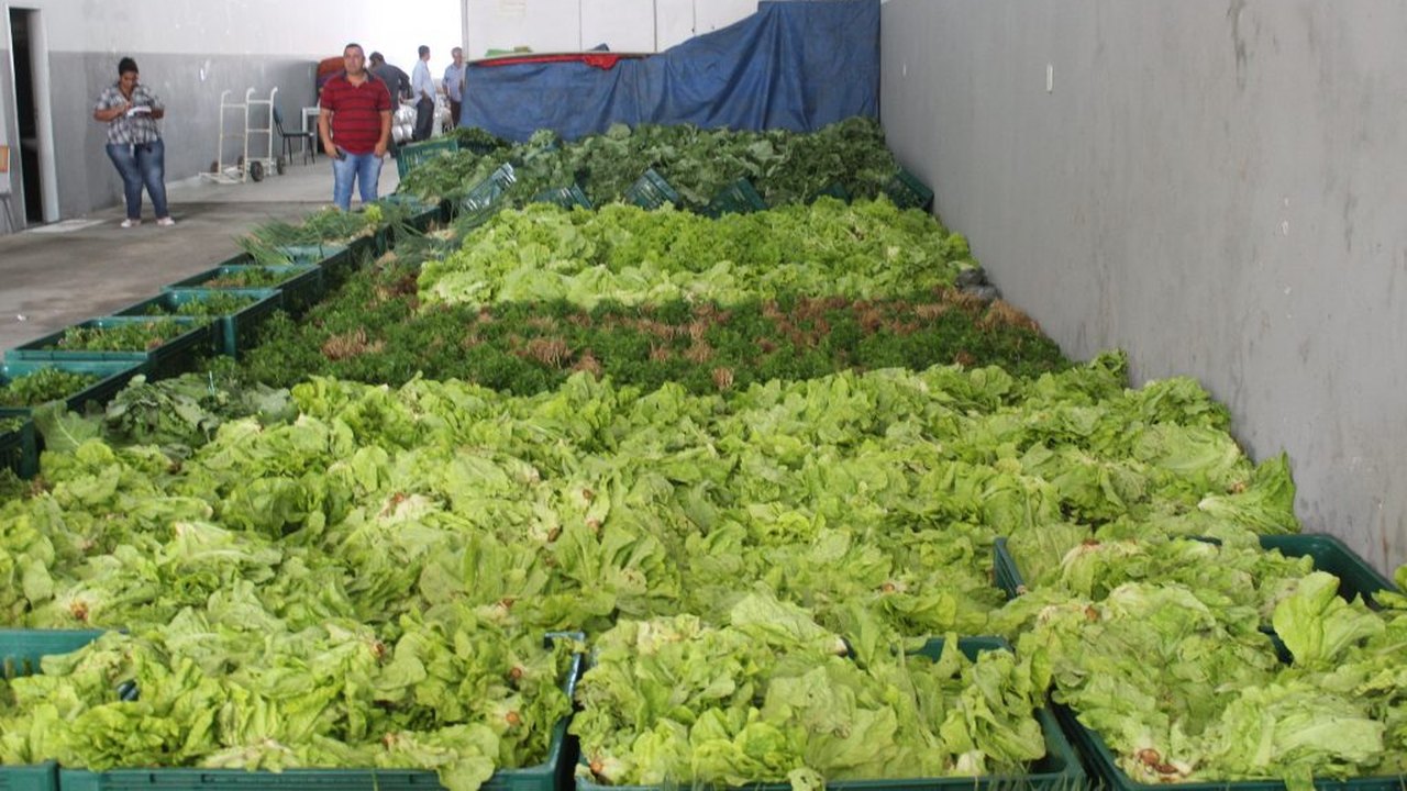 Agricultores e entidades podem se inscrever para o programa de aquisição de alimentos 2020