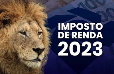 Saiba como e onde lançar investimentos na Declaração de Imposto de Renda Pessoa Física 2023