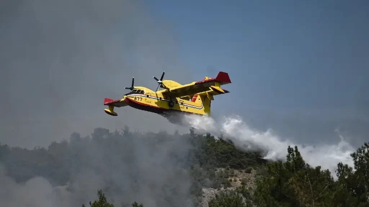 Incêndio florestal na Grécia é o maior já registrado na UE; ao menos 21 pessoas morreram