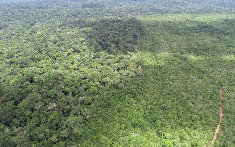 Setor produtivo articula proposta de desenvolvimento sustentável da Amazônia