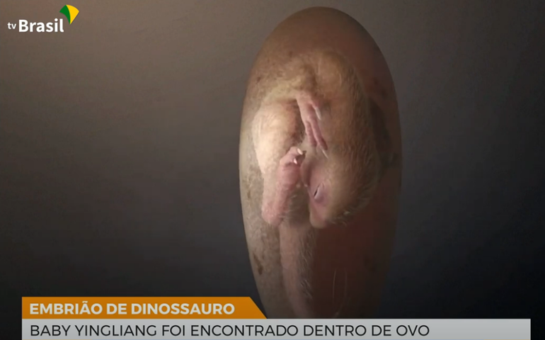 Para ouvir, ver e sentir: produtor alagoano lança ‘Luz Azul’ com influência do trap e estética retrô