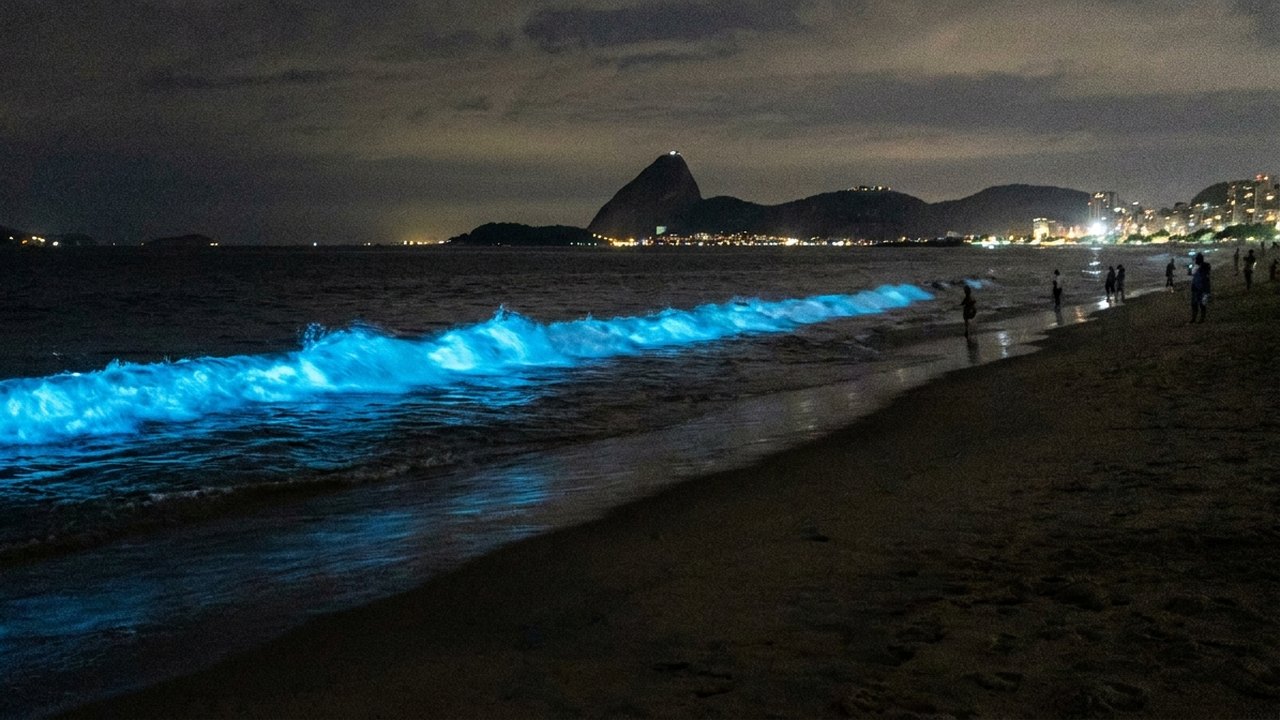 Mar fica azul e “fosforescente” em Niterói; entenda o fenômeno