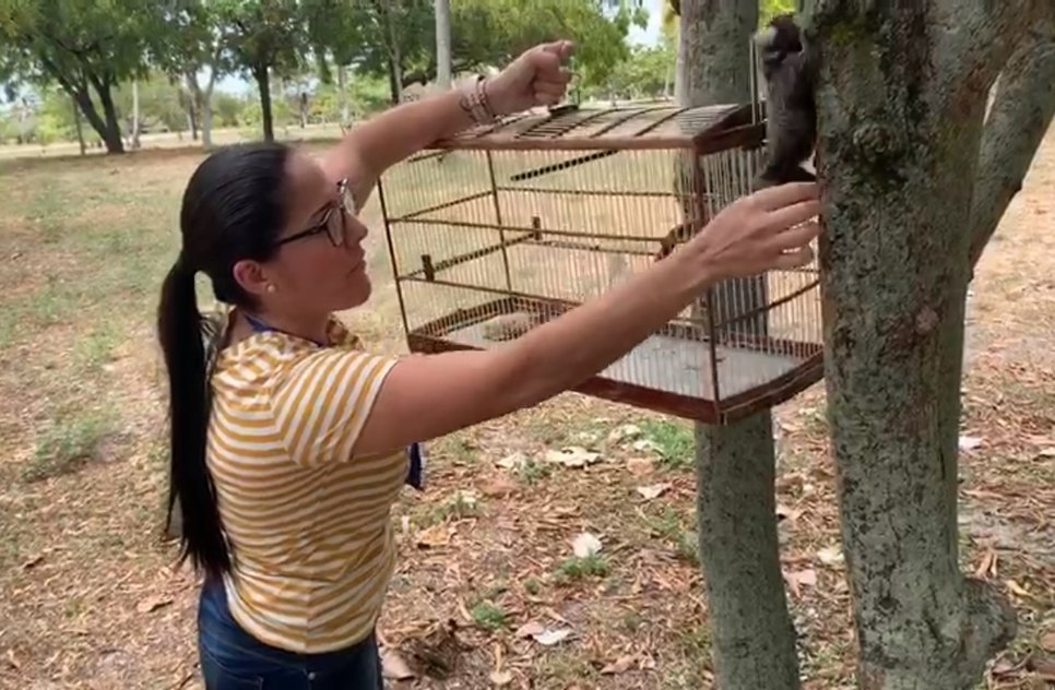 SAGUI SOLTO