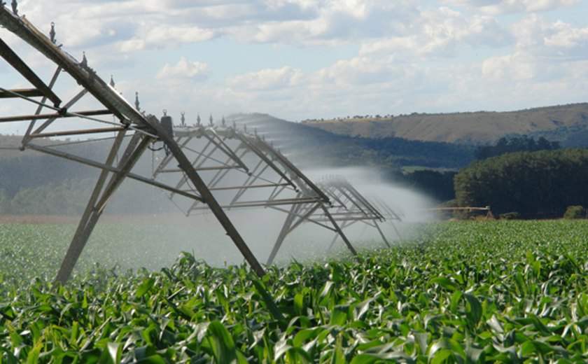 Governo quer incentivar o uso da irrigação em áreas agrícolas