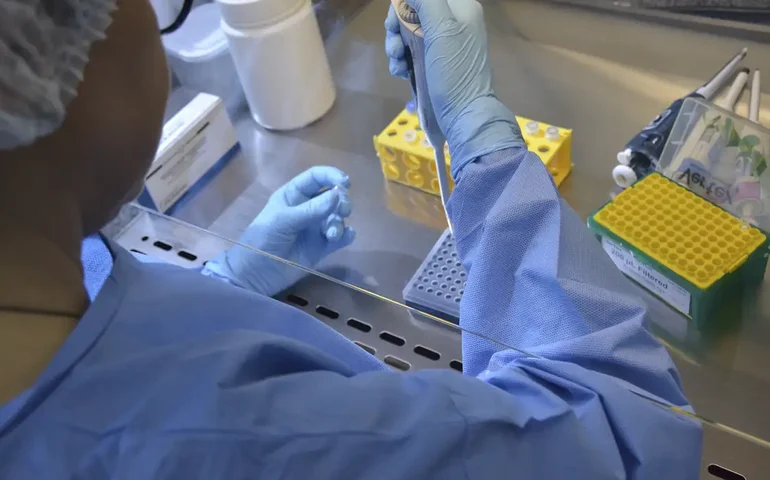Nova variante do vírus da covid, XEC é identificada em três Estados