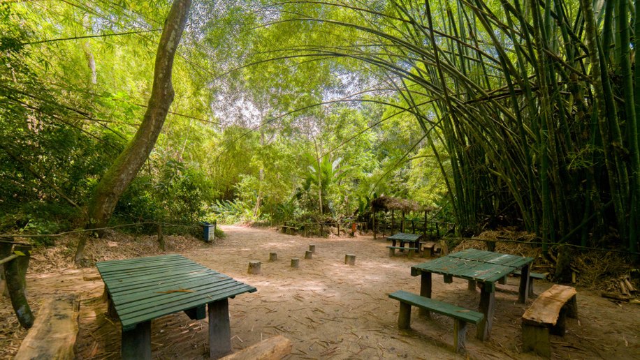Prefeitura de Maceió promove trilhas ecológicas e capacitações durante a campanha "Somos Meio Ambiente"