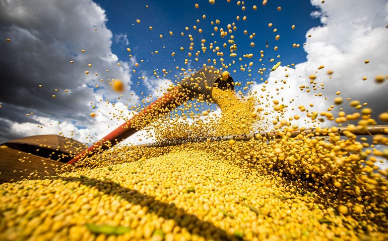 Conab: produção de grãos pode chegar a 358,6 milhões de toneladas