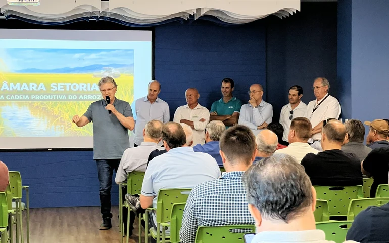 Entidades se unem em defesa da cadeia produtiva do arroz em Santa Catarina