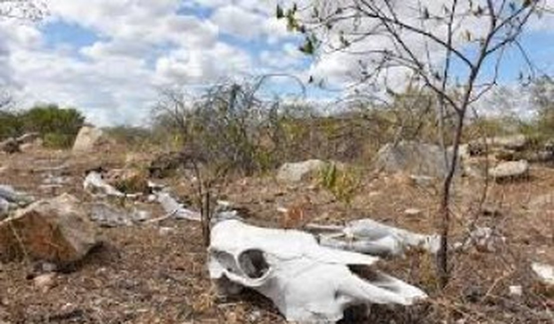 O povo, entre o ridículo paralelo da “emergência” com a “calamidade”