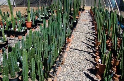 Novas tecnologias para melhorar o desempenho no campo com redução do impacto ambiental 