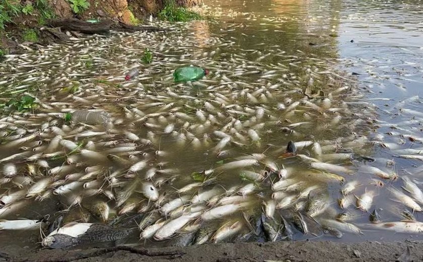 Usina de açúcar é multada em R$ 18 milhões por mortandade de peixes no Rio Piracicaba