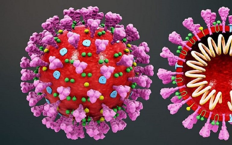 Alerta: óbitos por Covid-19 em pessoas sem comorbidades chegam a 6,87% em Alagoas