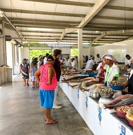 Confira o horário de funcionamento das feiras livres e mercados públicos no Dia de Finados