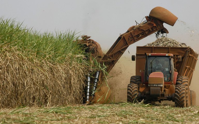 Guerra tarifária cria oportunidade para o agro brasileiro alavancar a reindustrialização