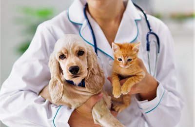 Dia D da vacinação antirrábica em Penedo acontece neste sábado, 30