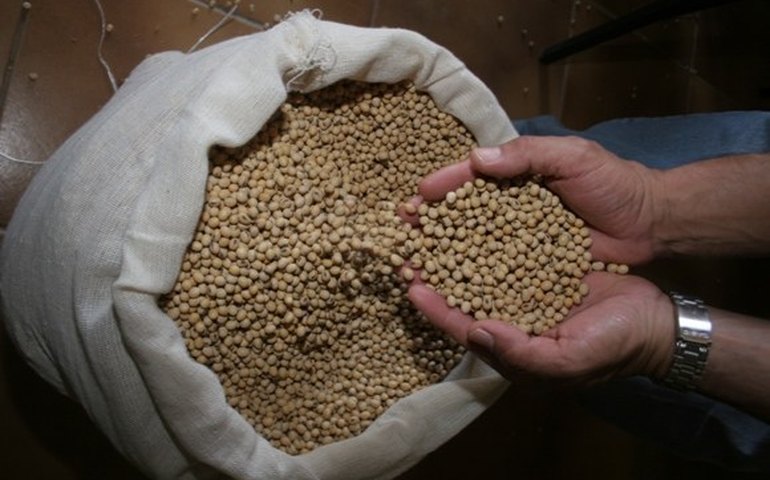 Inclusão produtiva chega ao Semiárido graças ao Fundo de Erradicação da miséria