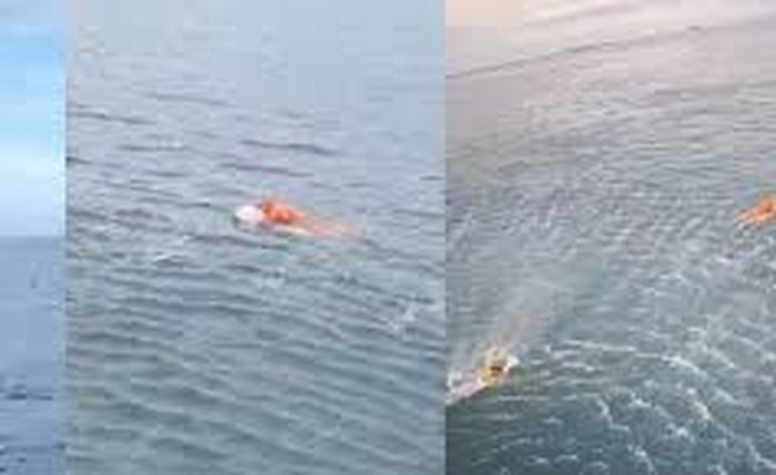 VÍDEO: Porta de geladeira salva pescador após naufrágio em SC