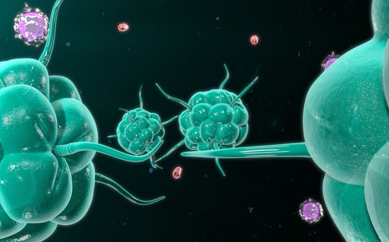 Avanço na cura do câncer: laboratório russo cria 'anticorpos mergulhadores'