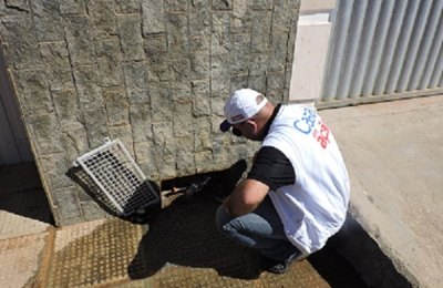 Casal vai mobilizar 200 profissionais em seus plantões de carnaval