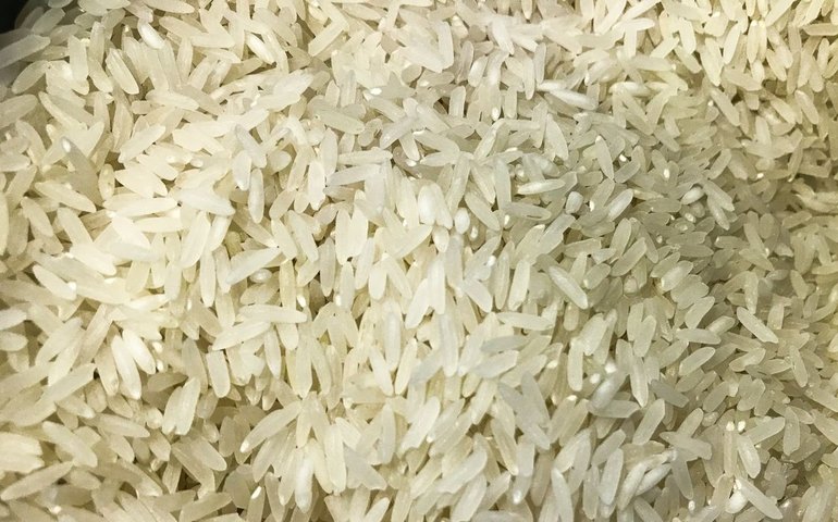 Conab: produção de grãos deve aumentar mais de 8% na safra 2024/2025