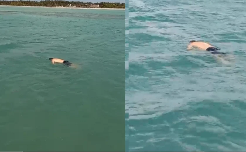 Corpo de bancário que estava de férias em Maceió é encontrado boiando na Praia de Sauaçuí