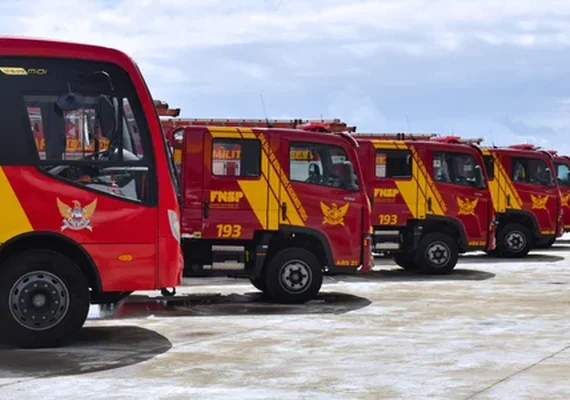 Bombeiros Militares de Alagoas retornam após 50 dias de combate a incêndios florestais no Brasil