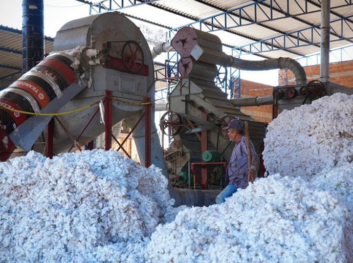 Transnordestina reduzirá custos e abrirá novos mercados para produtores do Cariri