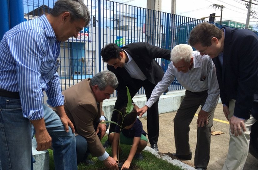 Programa incentiva o plantio da Craibeira, árvore símbolo de Alagoas