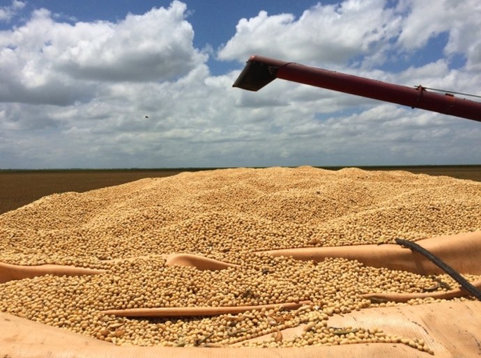 Rodada de negócios vai incentivar a produção de grãos em Alagoas