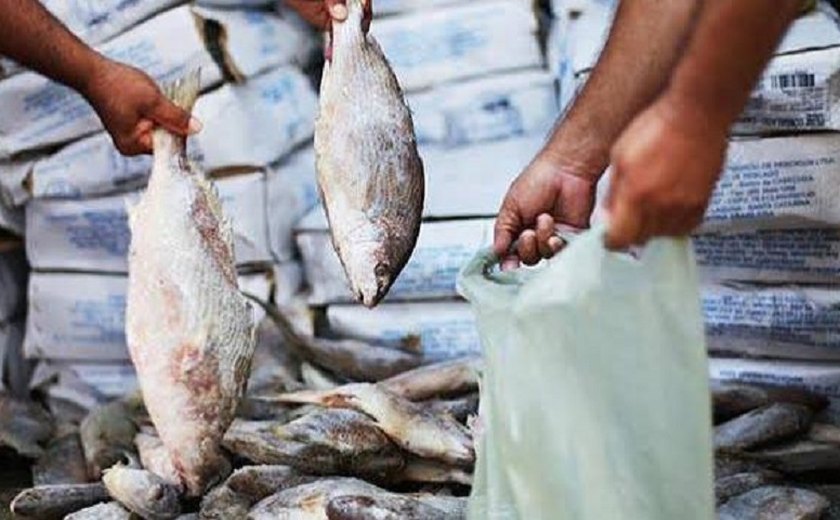 Prefeitura suspende entrega de peixes na Semana Santa, em Palmeira dos Índios
