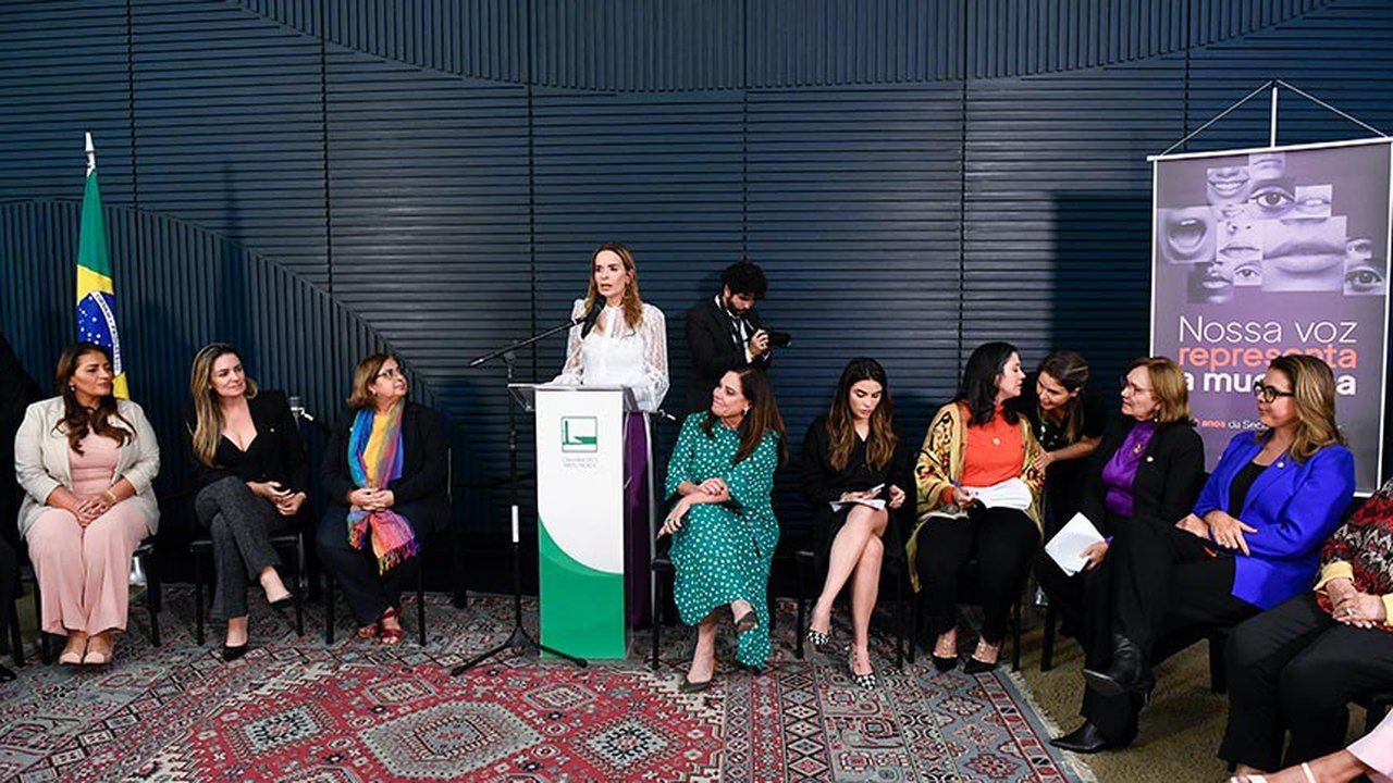 Senado e Câmara lançam 'Agosto Lilás' em combate à violência contra mulheres