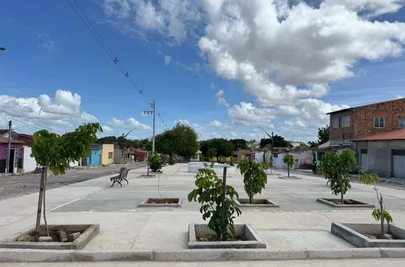 Prefeitura de Delmiro Gouveia já plantou mais de 5 mil mudas e amplia ações de arborização para 2026