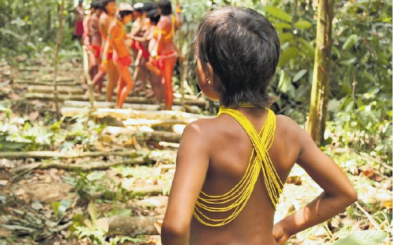 Relatos são de 30 meninas Yanomami grávidas de garimpeiros, diz secretário