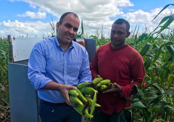 Número de empregos em Pilar cresce 22% em 2018, mostra levantamento